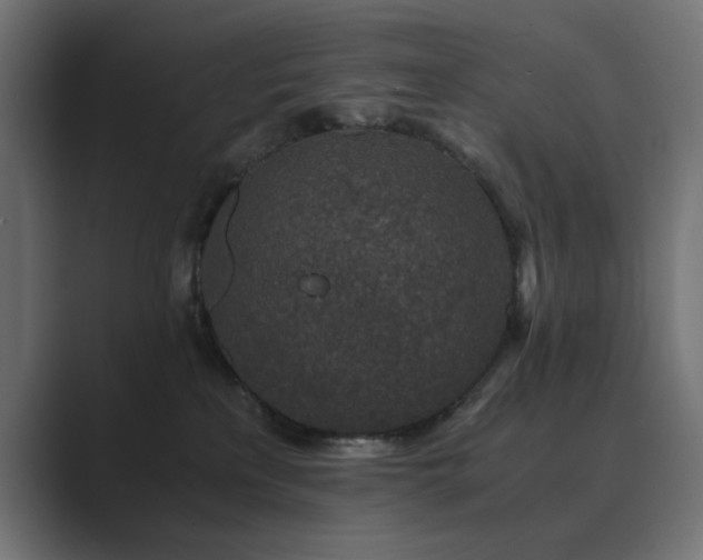 X0000089950233200706291217