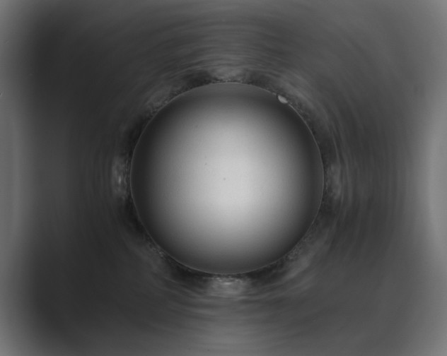 X0000089950234200706291217