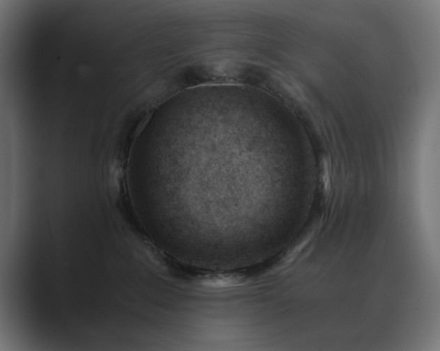 X0000089950235200706291217