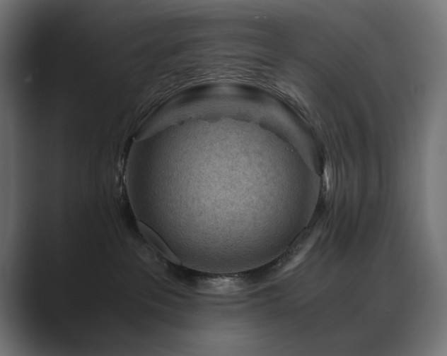 X0000089950237200706291217