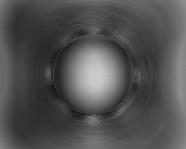 X0000089950238200706291217