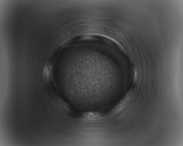 X0000089950239200706291217