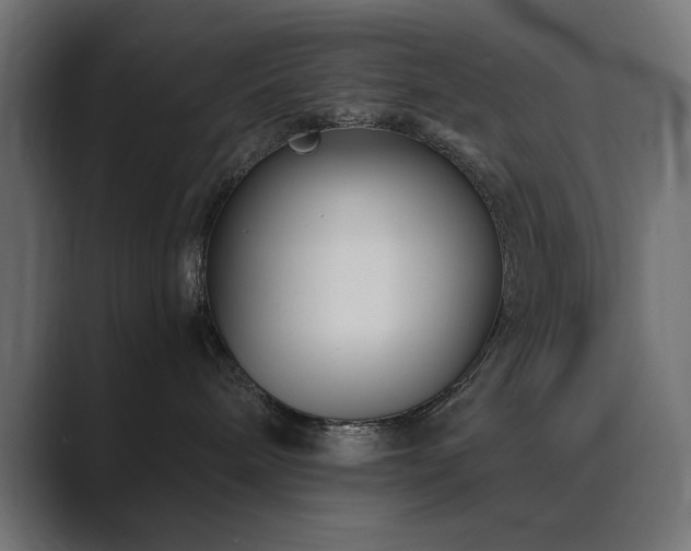X0000089950240200706291217