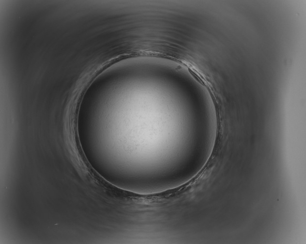 X0000089950241200706291216