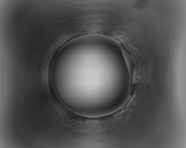X0000089950242200706291216