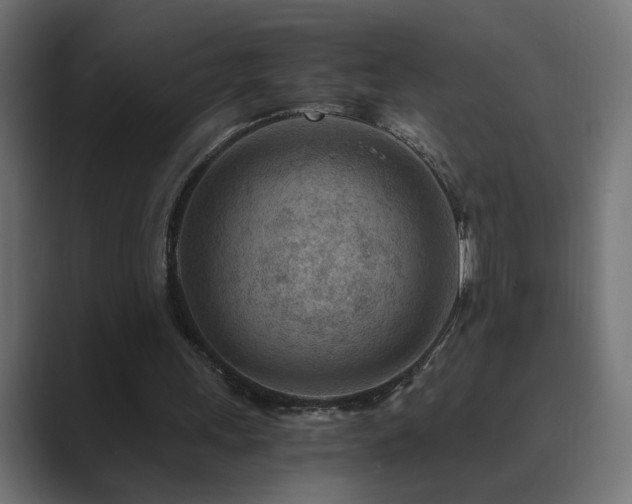 X0000089950243200706291216