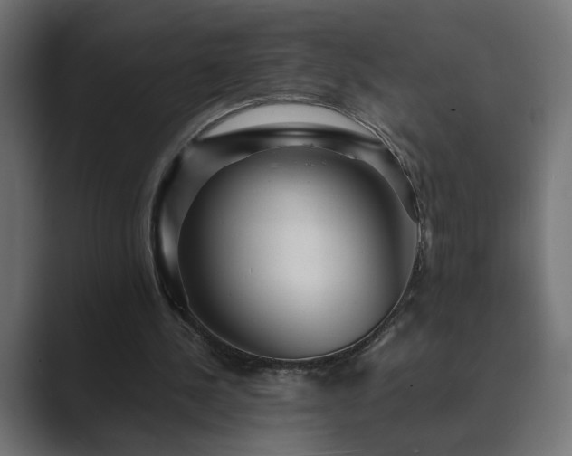 X0000089950244200706291216