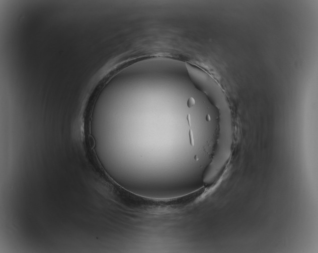 X0000089950246200706291216