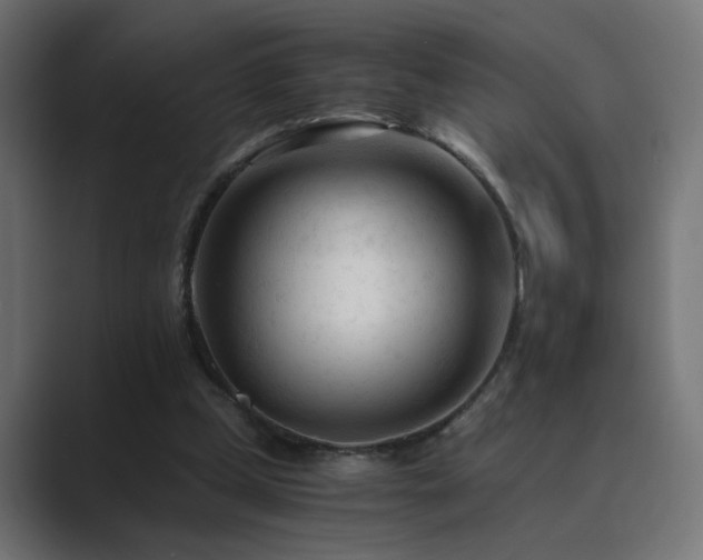X0000089950249200706291216