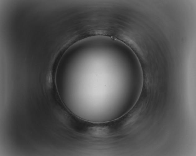 X0000089950251200706291217