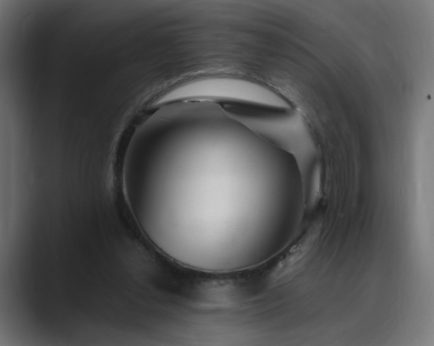 X0000089950252200706291217