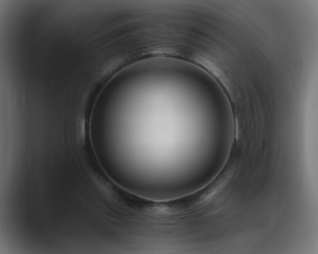 X0000089950253200706291217