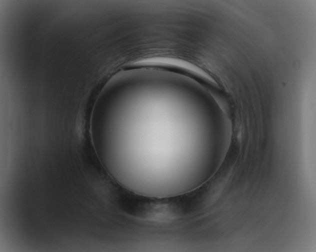 X0000089950255200706291217