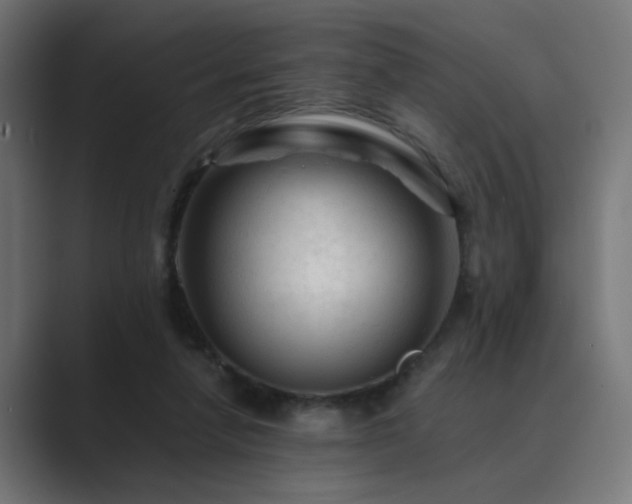 X0000089950258200706291217