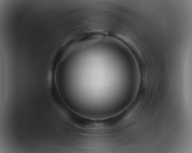 X0000089950260200706291217