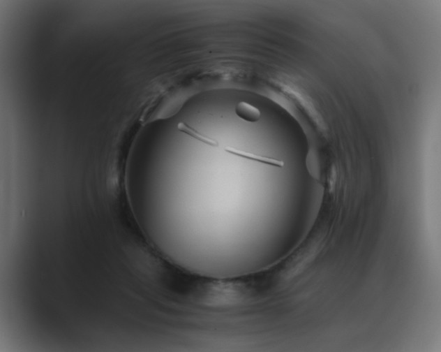 X0000089950261200706291217