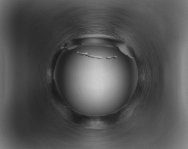 X0000089950262200706291217