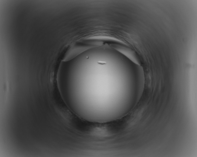 X0000089950263200706291217