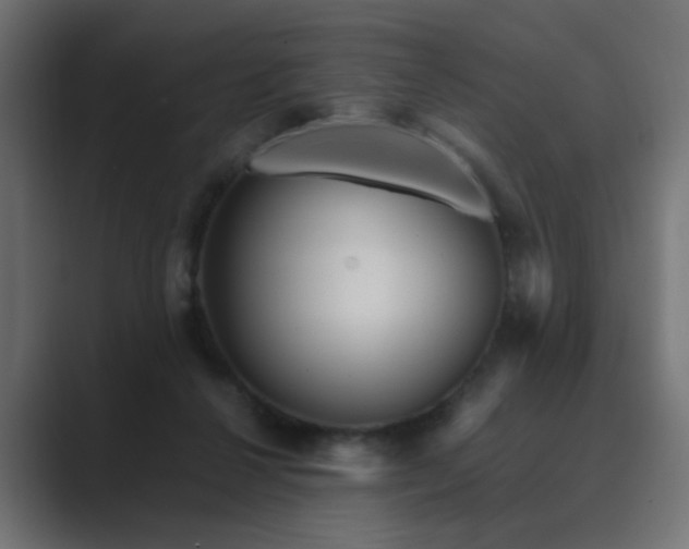 X0000089950264200706291217