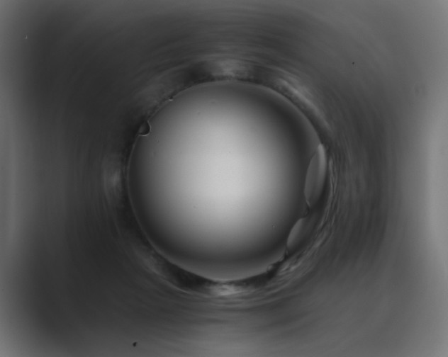X0000089950265200706291217