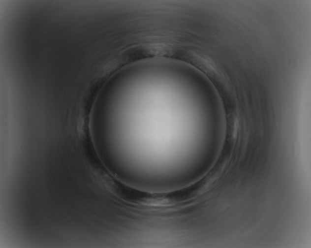 X0000089950266200706291217