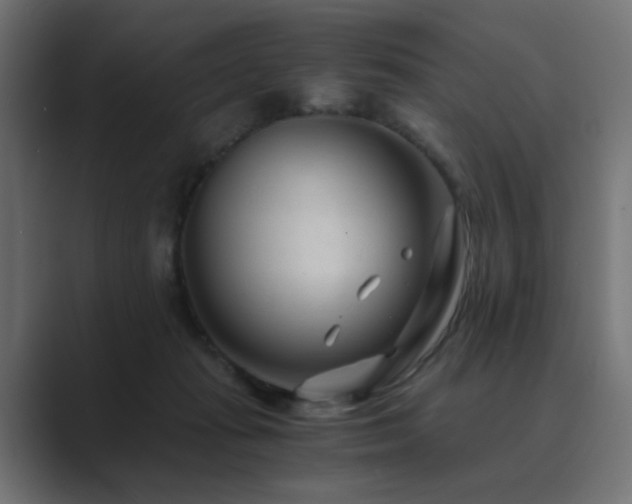 X0000089950269200706291217