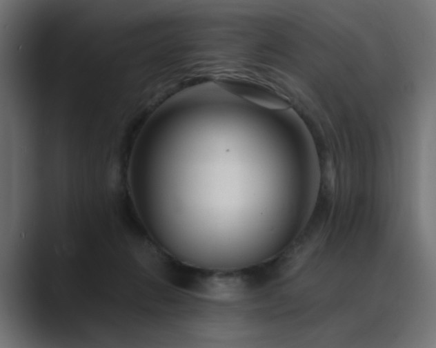 X0000089950270200706291217