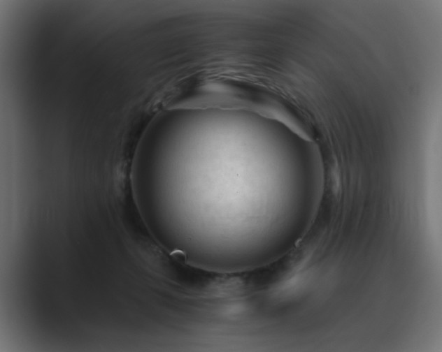 X0000089950271200706291217