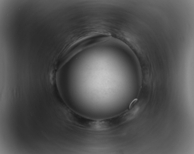 X0000089950273200706291217