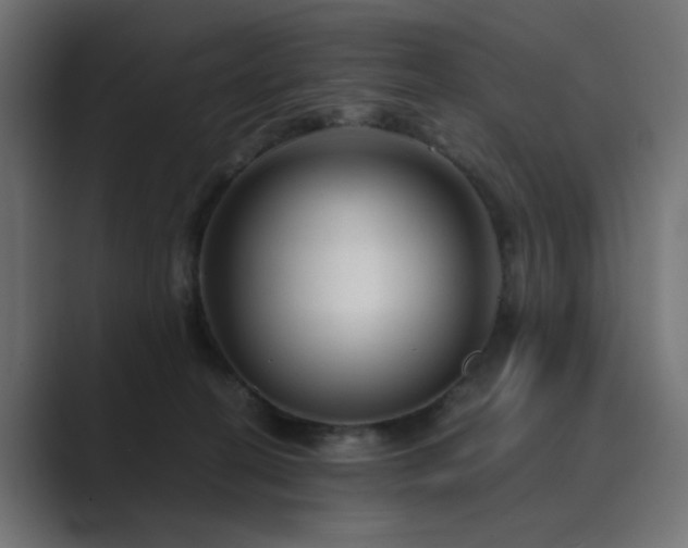 X0000089950274200706291217