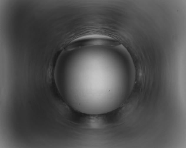 X0000089950275200706291217