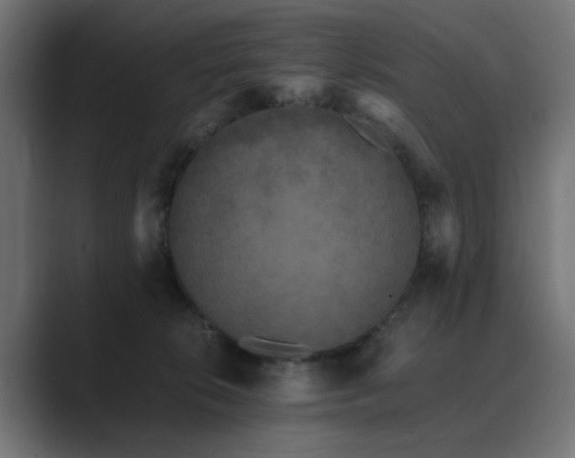 X0000089950276200706291217
