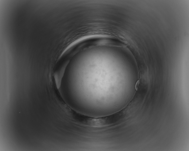 X0000089950277200706291217