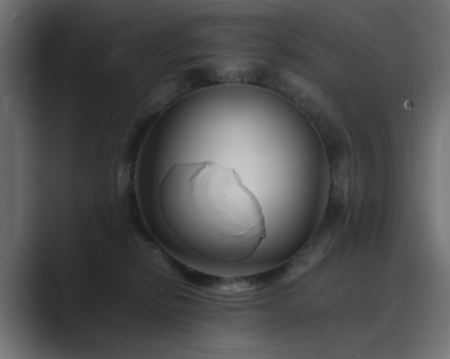 X0000089950278200706291217