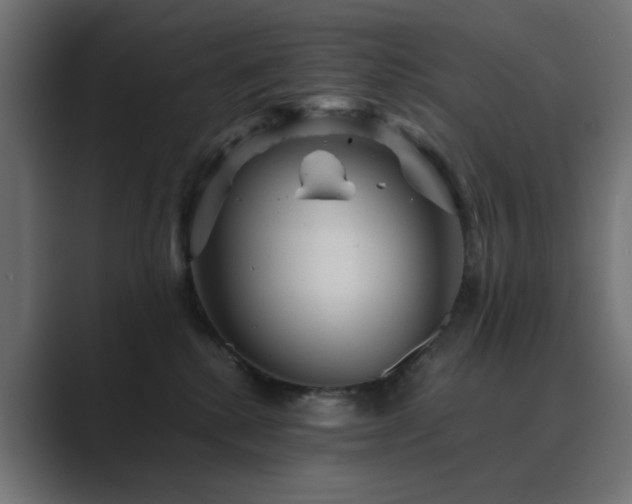 X0000089950280200706291217