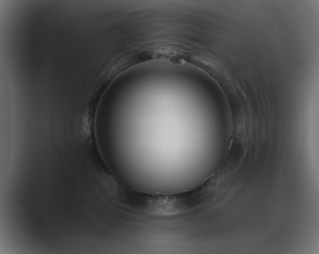 X0000089950282200706291217