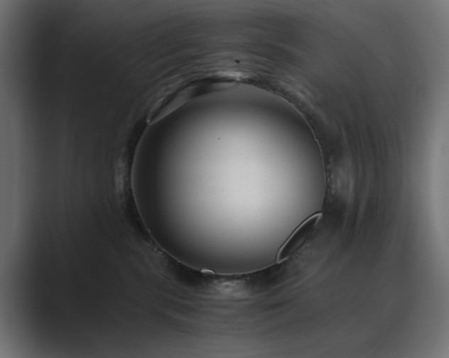 X0000089950283200706291217