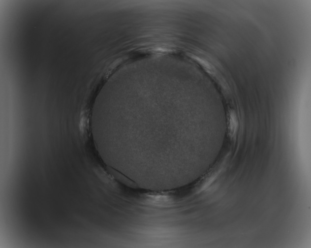 X0000089950284200706291217