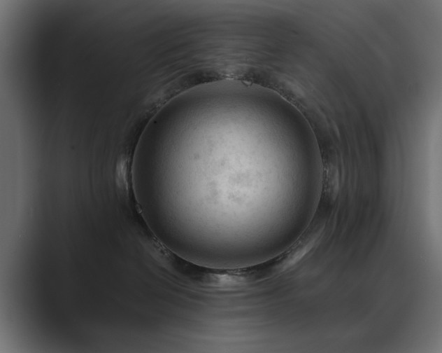 X0000089950286200706291217
