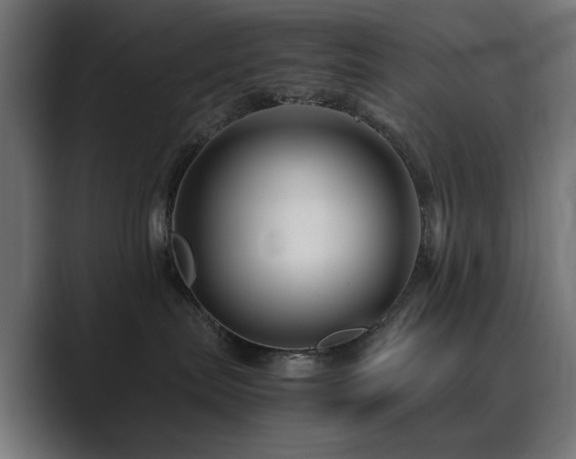 X0000089950287200706291217