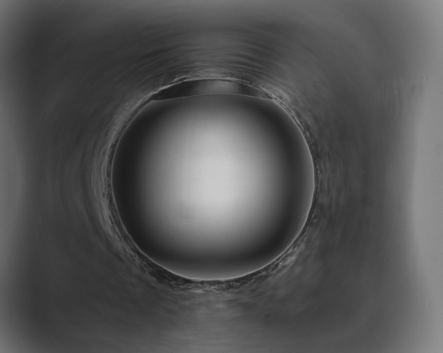 X0000089950289200706291216