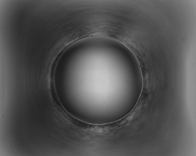 X0000089950290200706291216