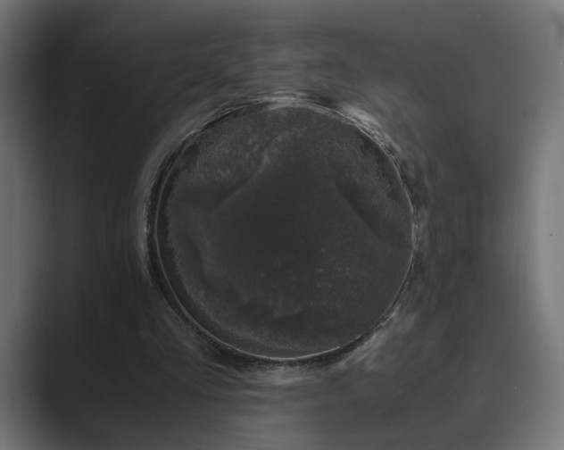X0000089950293200706291216