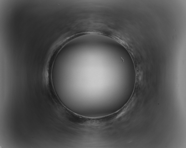 X0000089950294200706291216
