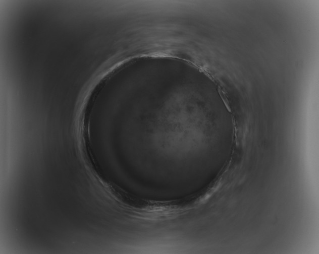 X0000089950295200706291216