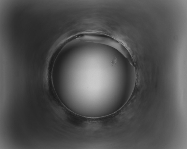 X0000089950296200706291216