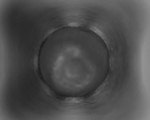 X0000089950297200706291216