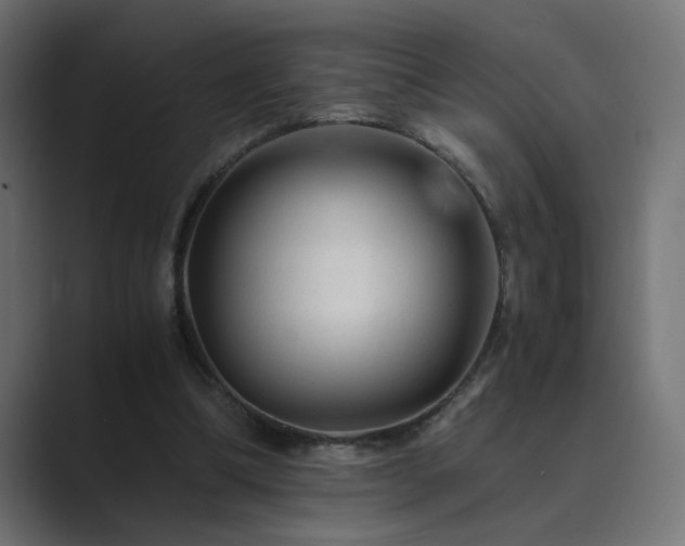 X0000089950298200706291216
