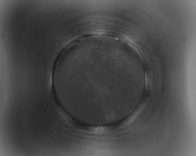 X0000089950301200706291216