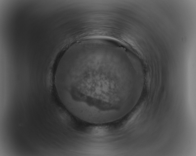 X0000089950303200706291216